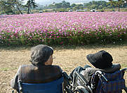 屋上菜園